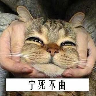 合肥活動策劃公司，搞笑成語